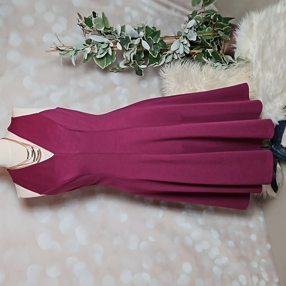 Patti Boutik | Maroon Fit and Flare Dress